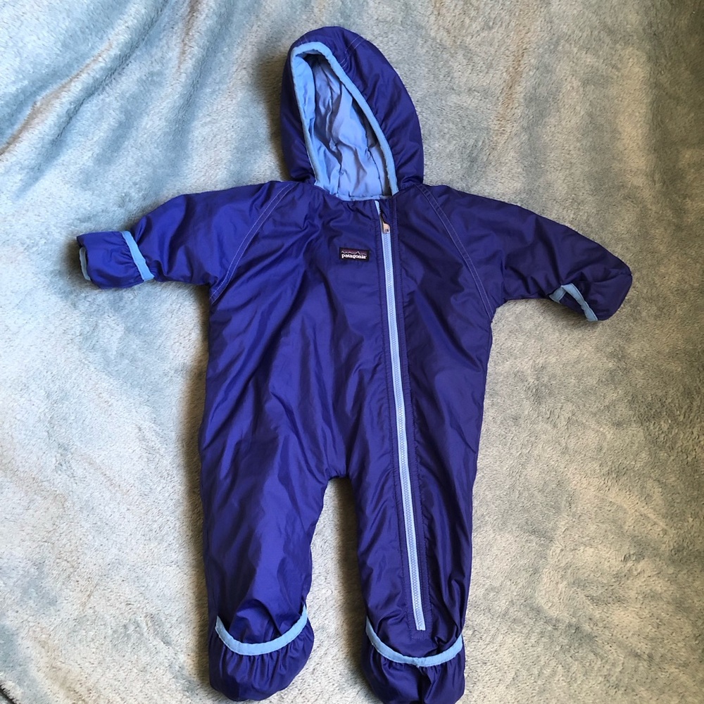 Patagonia bunting